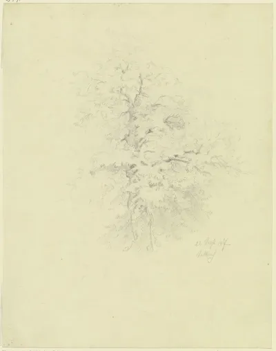 Tree In Seckbach