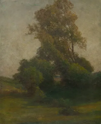 Tree In The Countryside