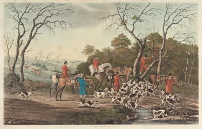 Tree Ing The Fox