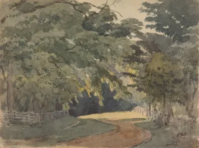 Tree Lined Lane