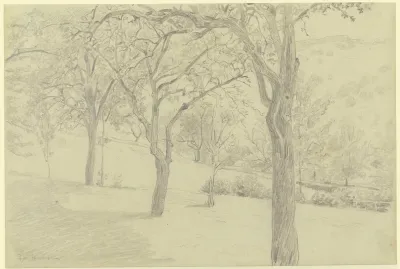 Tree Meadow