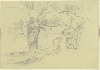 Tree On A Village Road