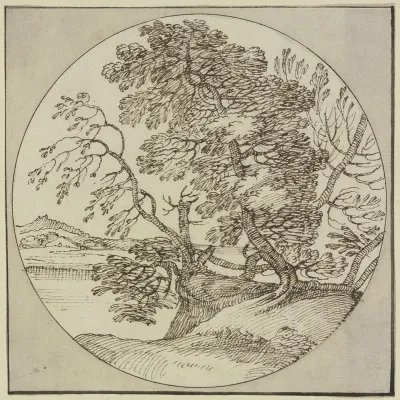 Tree Section By The Water 2