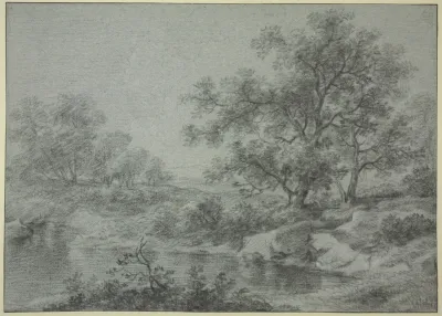 Tree Section By The Water