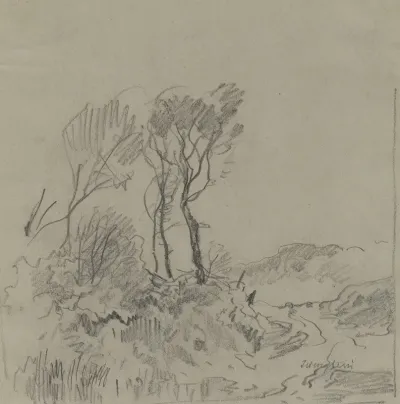 Tree Studies