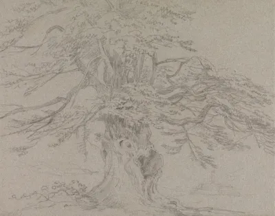 Tree Study 10