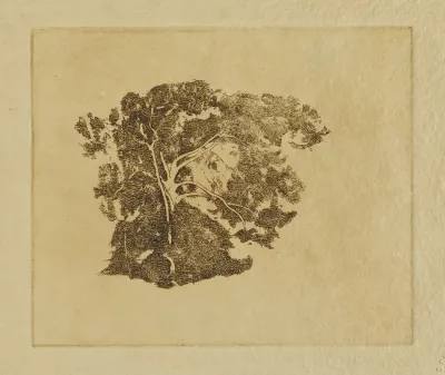 Tree Study 12