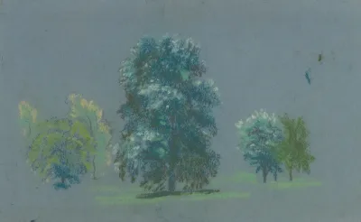Tree Study 14
