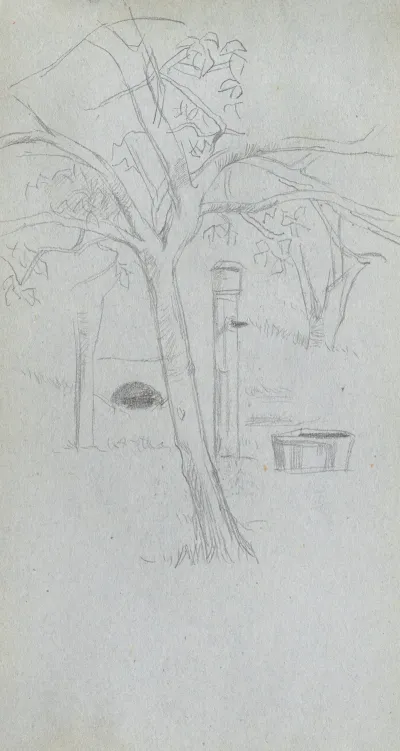 Tree Study 16