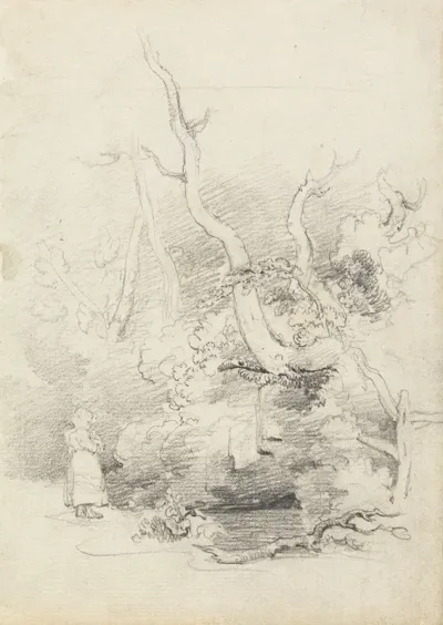 Tree Study 3