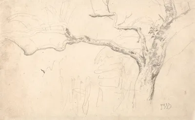 Tree Study 5