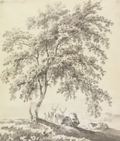 Tree Study With Stags Landscape