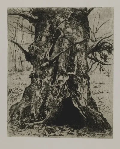 Tree Trunk 3