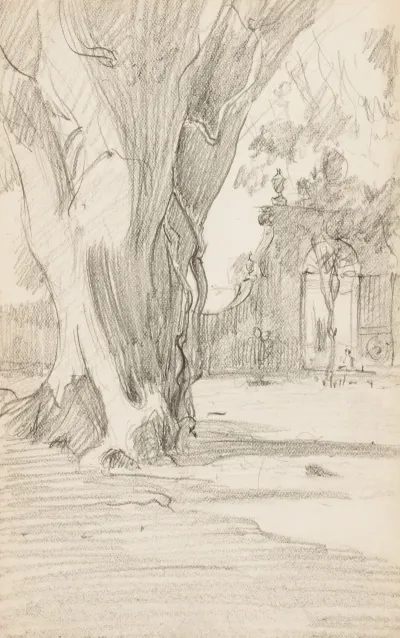 Tree Trunk With Gate