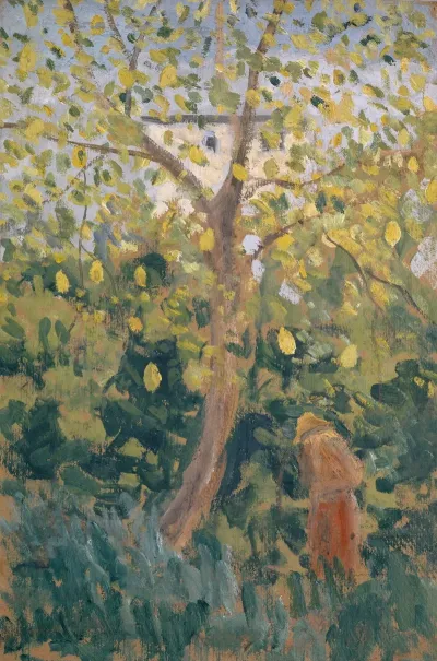 Tree With Yellowed Fall Leaves