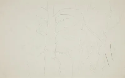 Trees 10