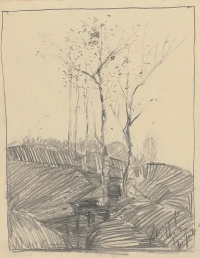 Trees 16