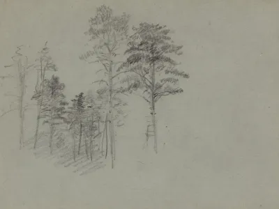 Trees 18