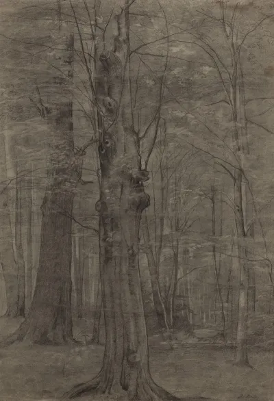 Trees 21