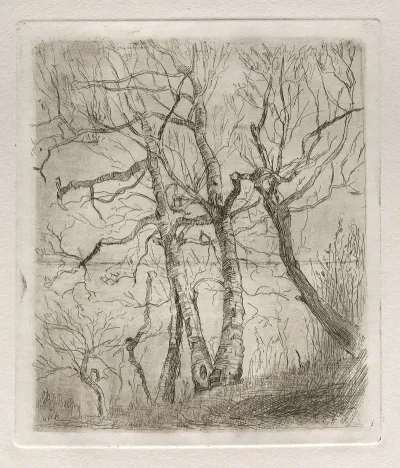 Trees 22