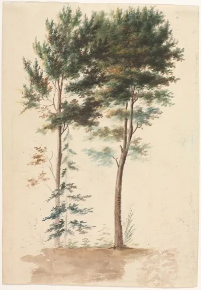 Trees 24