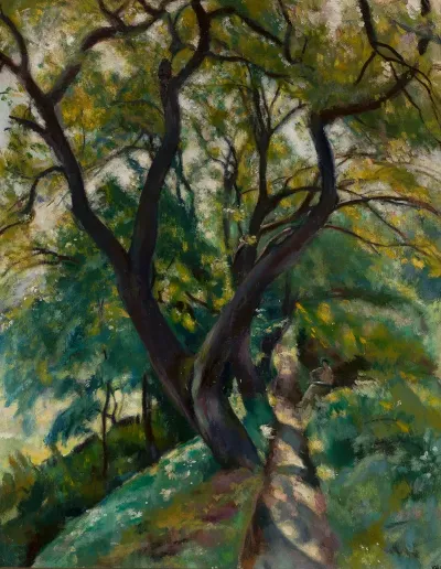 Trees 25