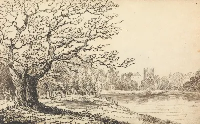 Trees Alongside A River With Buildings In The Distance