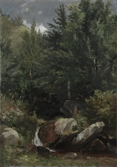 Trees And A Stream On A Hillside