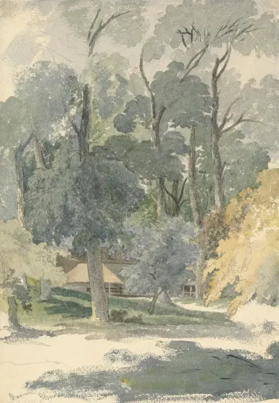 Trees And Barns In Ashstead Park Surrey