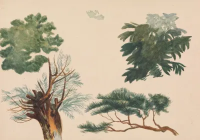 Trees And Foliage