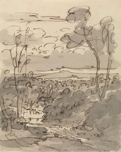 Trees And Hilly Landscape