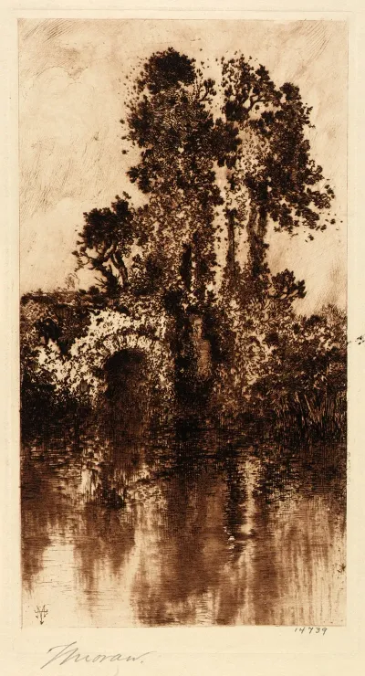 Trees And Old Bridge