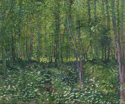Trees And Undergrowth 2
