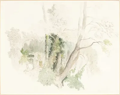 Trees At Beddington