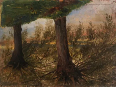 Trees Beside A Stream
