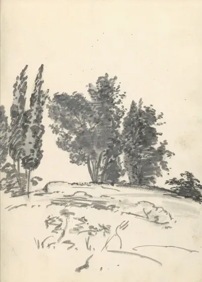 Trees Bushes And Vegetation