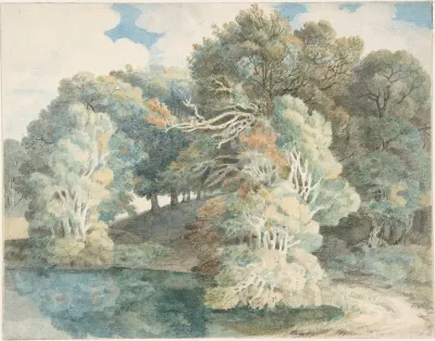 Trees By The Lake Peamore Park Near Exeter Devon