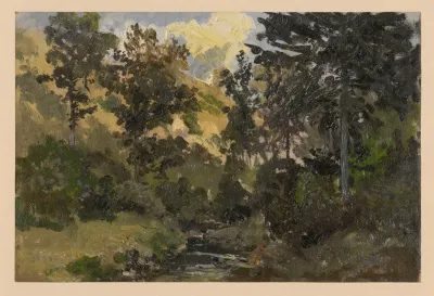 Trees By The Szczawnik Ii
