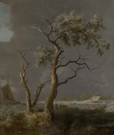 Trees By The Water 3