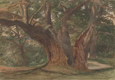 Trees In A Landscape 3