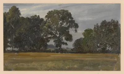 Trees In A Meadow In The Oder Valley