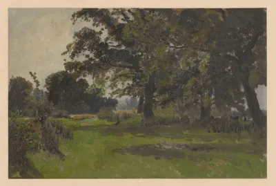 Trees In A Meadow Near Jelcz