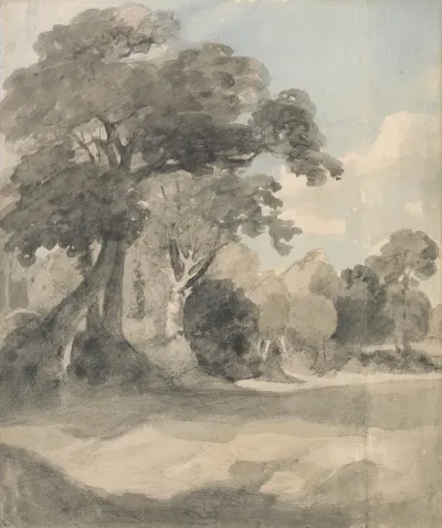 Trees In A Meadow