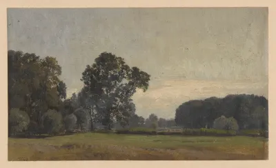 Trees In The Oder Valley