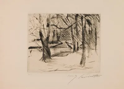 Trees In The Sun