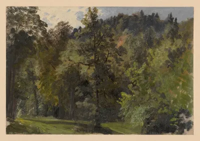 Trees In The Szczawnik Valley