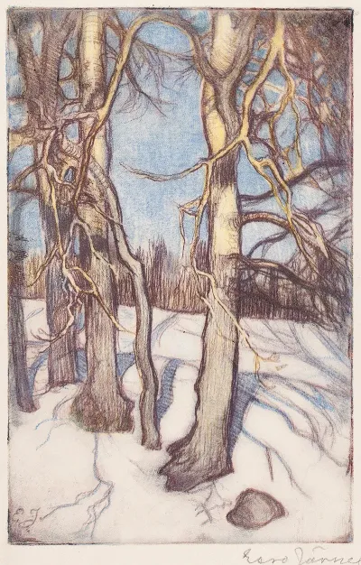 Trees In Winter