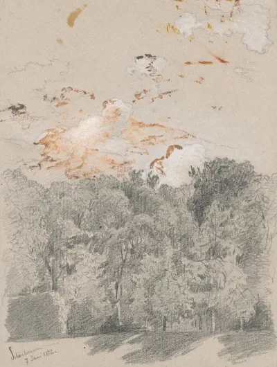 Trees Motif From Schonbrunn Park