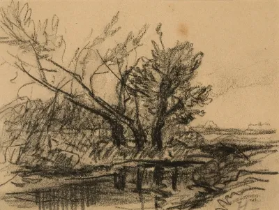 Trees Near A Pond