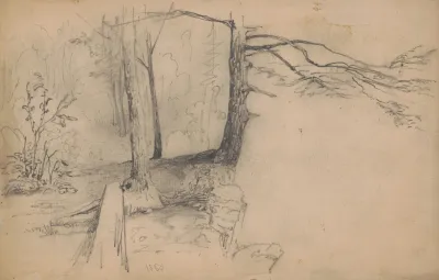 Trees Near A Precipice